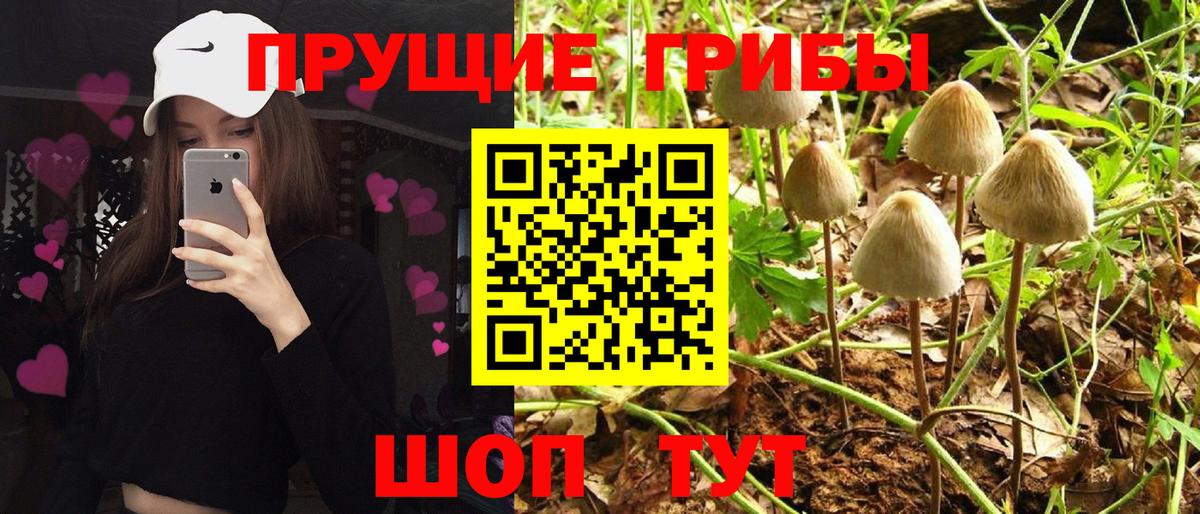 Галлюциногенные грибы Magic Shrooms Миасс