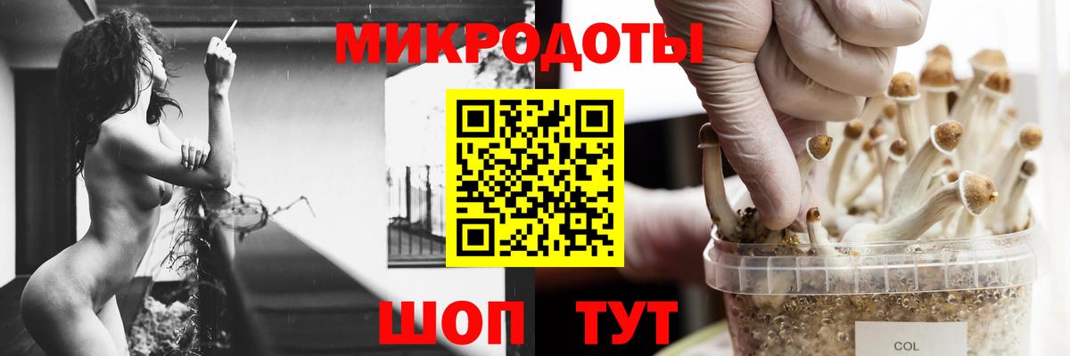 Миасс  Псилоцибиновые грибы мицелий  Псилоцибиновые грибы GOLDEN TEACHER  Вход с VPN 